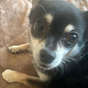 Meet your Posher, Estefania